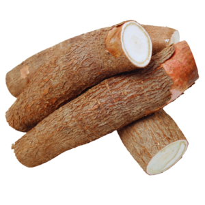 Cassava